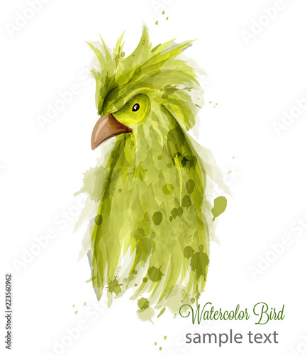 Parrot bird Vector watercolor. cartoon style illustrations
