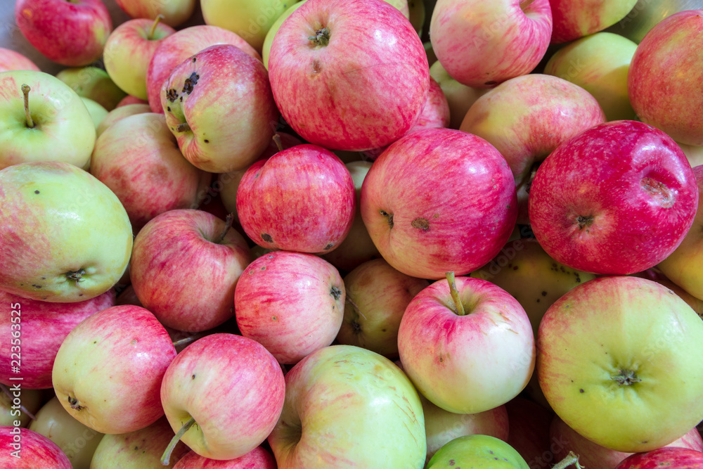 Harvest of apples from the garden as a background Harvest of apples from the garden as a background