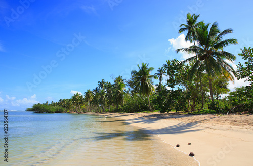 Palm trees on white tropical beach. Travel background.