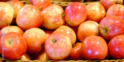 Crop of apples. Many typical ripe apples in a plastic box. photo