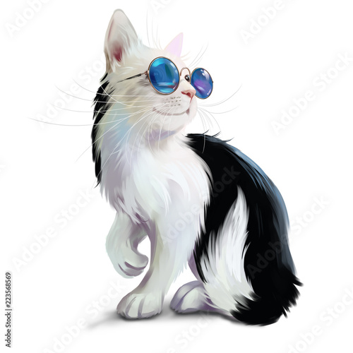 Black and white cat with glasses
