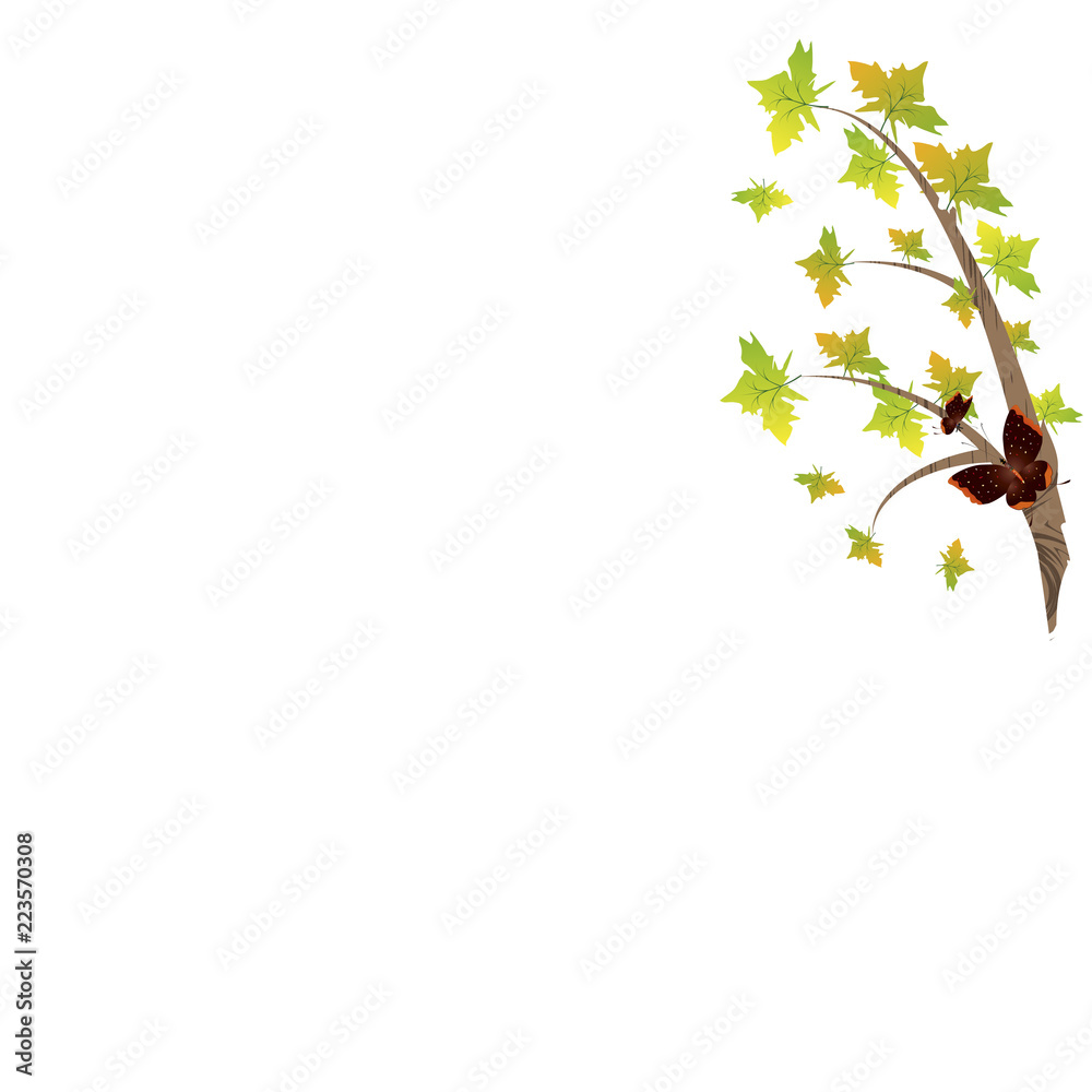 beautiful color tree, isolated on a white beautiful color tree, isolated on a white