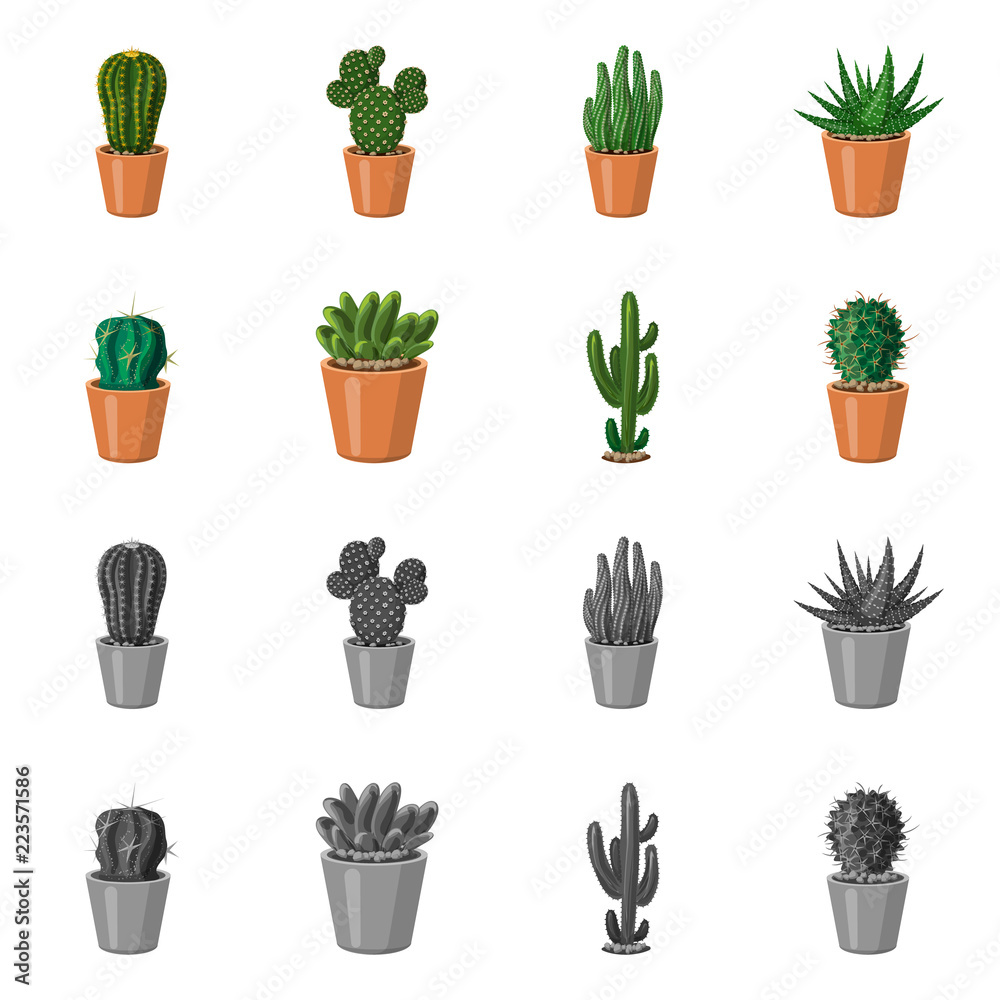 Fototapeta Vector design of cactus and pot sign. Collection of cactus and cacti vector icon for stock.