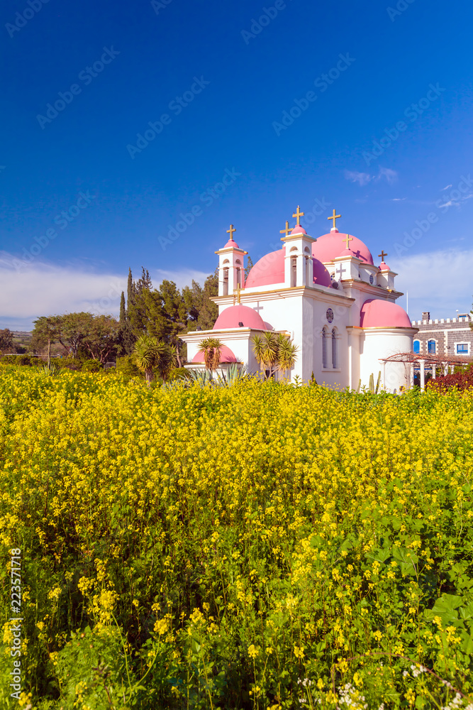 Orthodox Church and Mustard Field near Galilee Sea