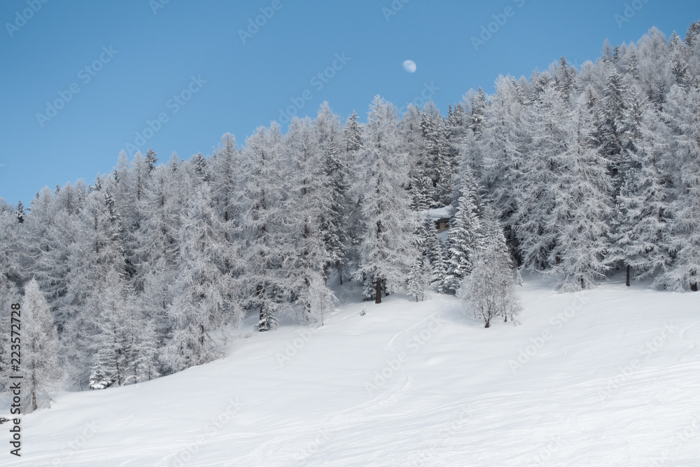 Moon over mountain forest