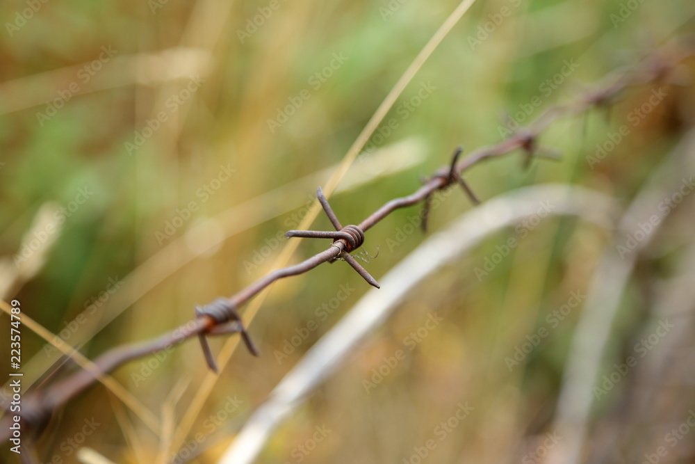 rusty barbed wire rusty barbed wire