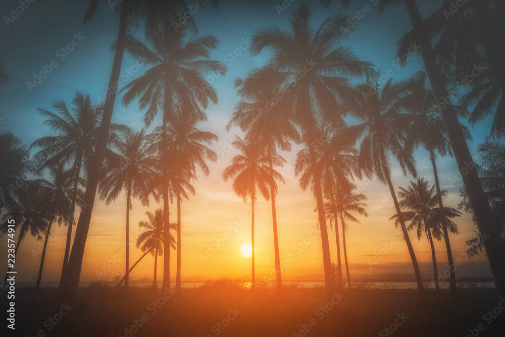 Naklejka premium Silhouette coconut palm trees on beach at sunset. Vintage tone.