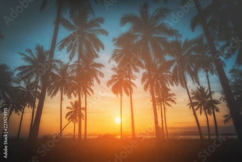 Silhouette coconut palm trees on beach at sunset. Vintage tone.