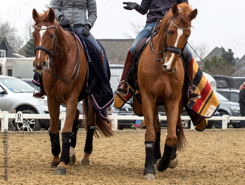 Two dressage horses and riders © Kunz Husum
