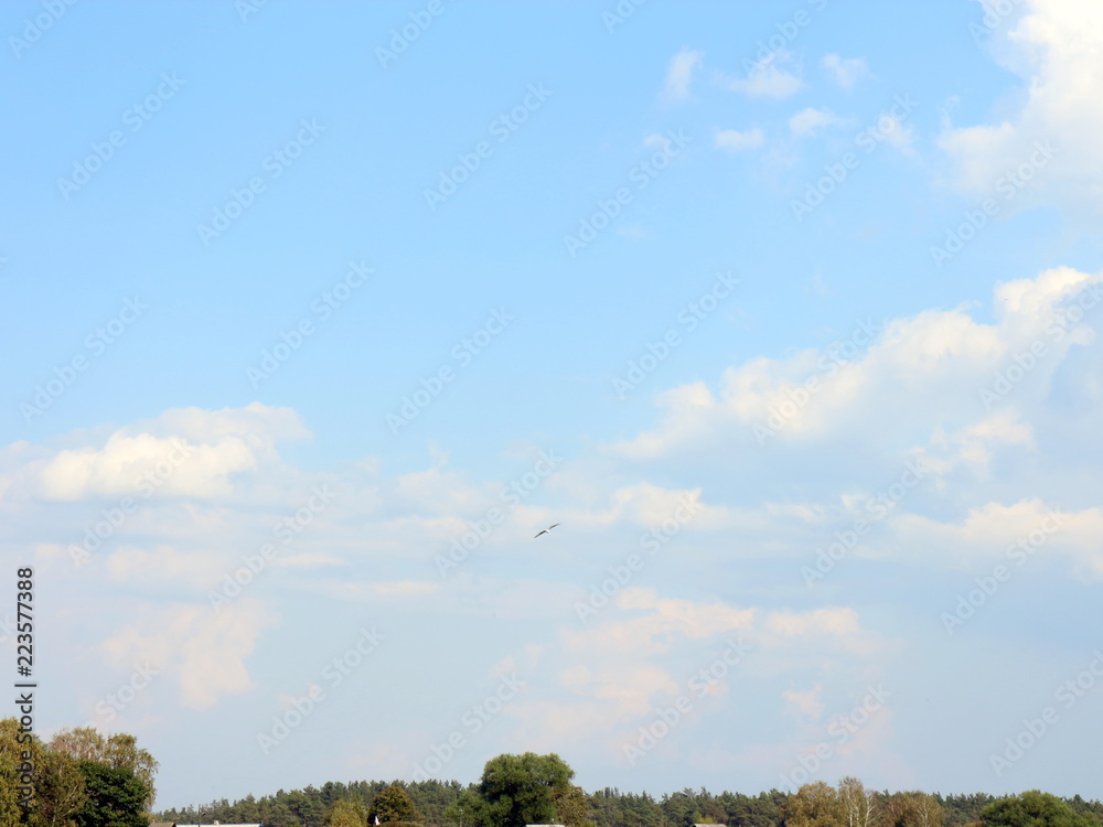 Obraz premium Cumulus over the village