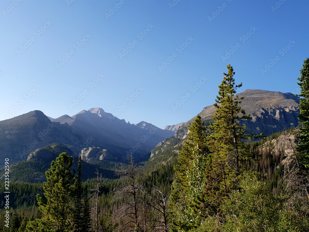 Mountain Range with Trees