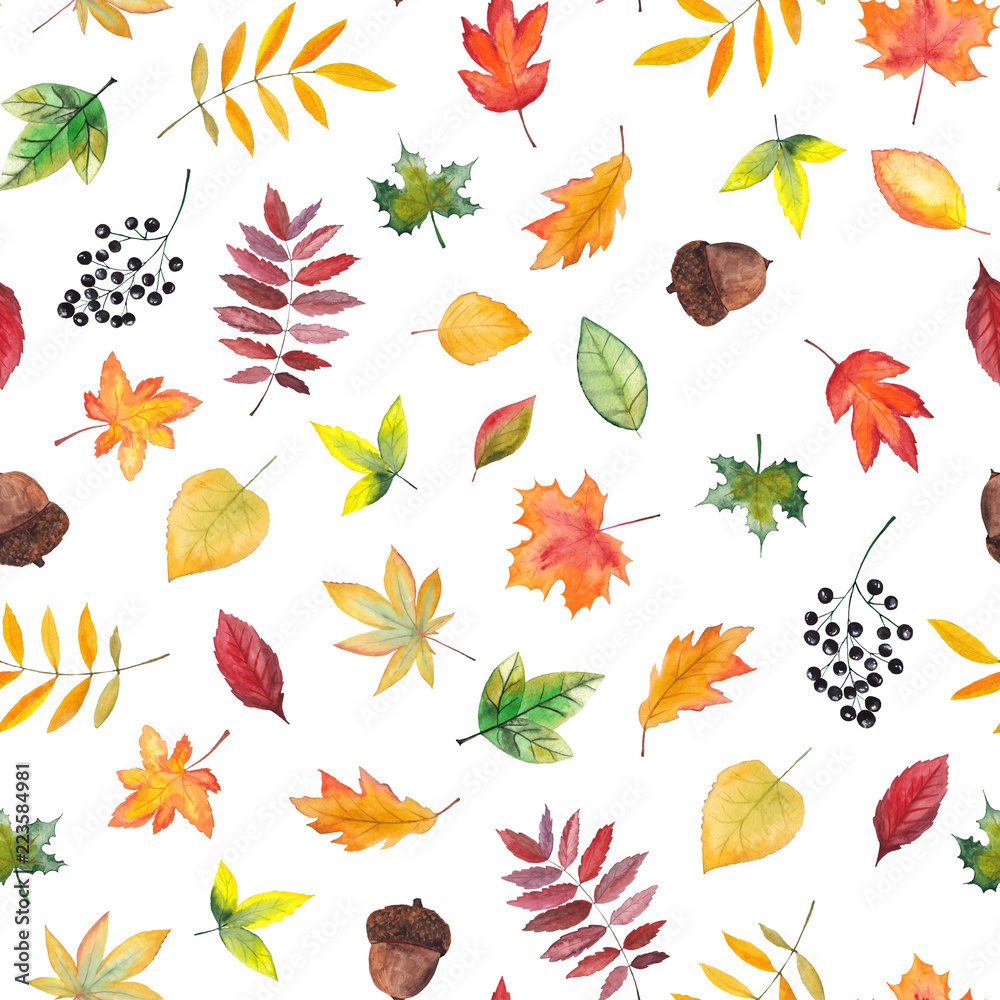 Handpainted watercolor pattern of autumn leaves, berries, acorns on white background