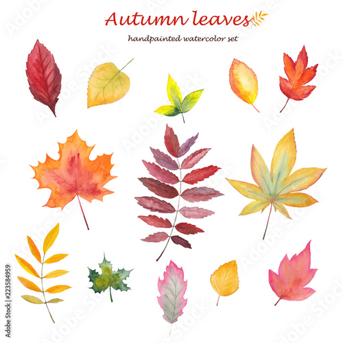 Hand-drawn watercolor autumn leaves on white background