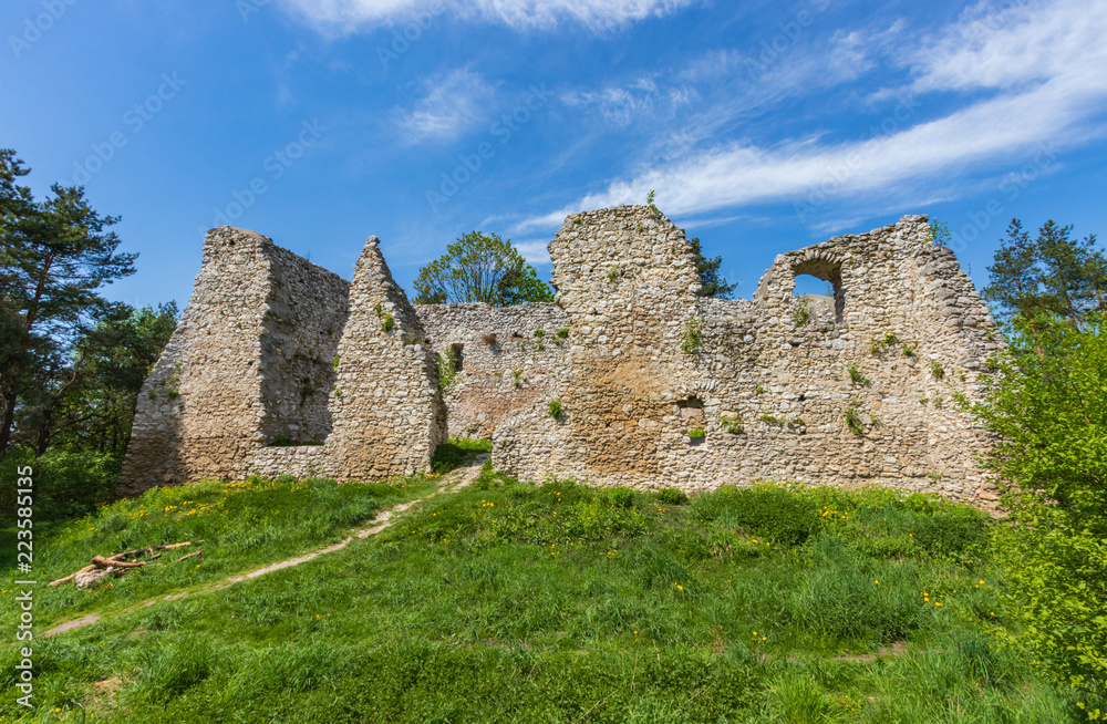 ruins of the castle in Bydlin in the south of Poland