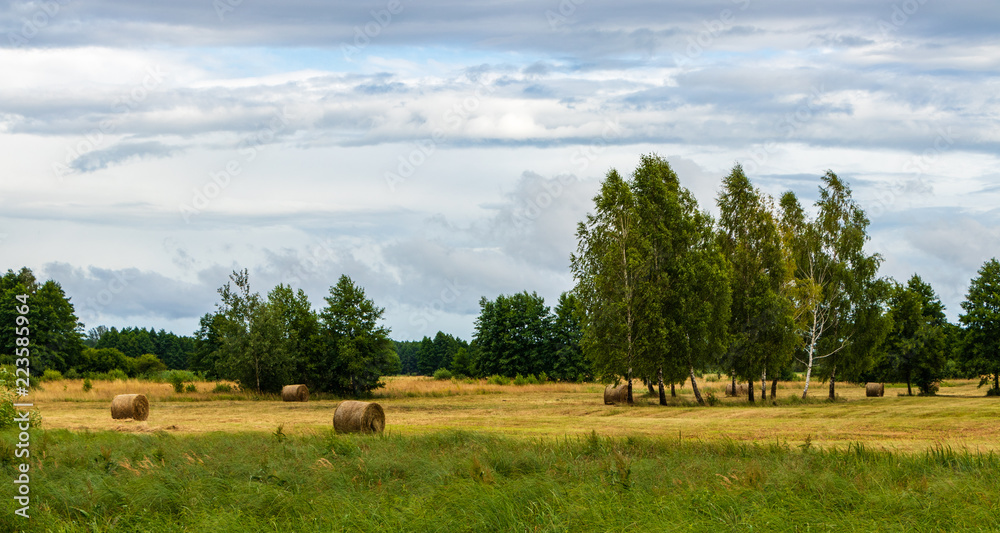 arable fields in eastern Poland