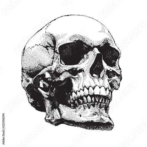 Hand drawn dark dotted skull. Precise vector illustration