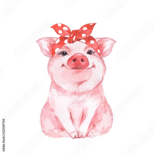 Funny pig wearing bandana. Isolated on white. Cute watercolor illustration
