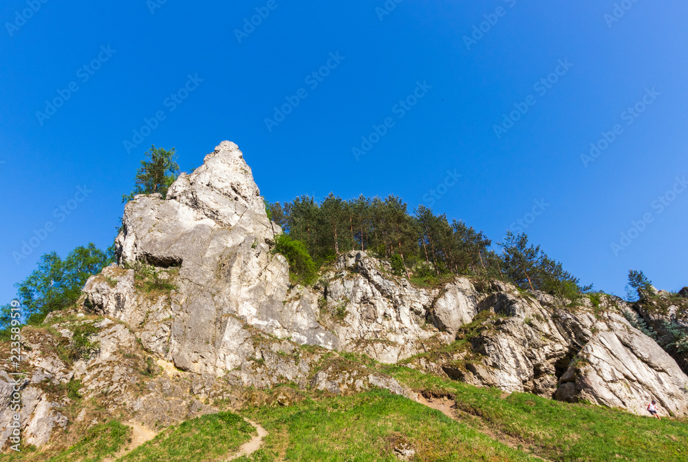 rocks in the Kobylanska valley in the Krakow-Czestochowa Upland