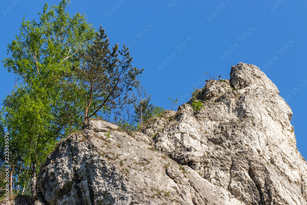 rocks in the Kobylańska valley in the Kraków-Częstochowa Upland rocks in the Kobylańska valley in the Kraków-Częstochowa Upland