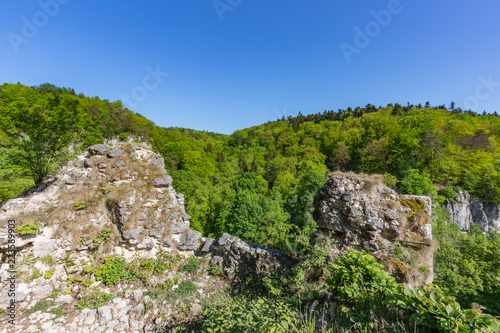 ruins of the defensive wall of the Ojców castle