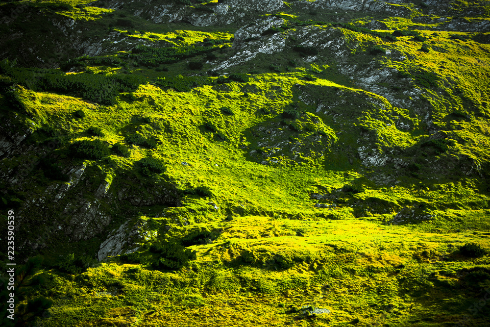 green mountain slope panorama green mountain slope panorama
