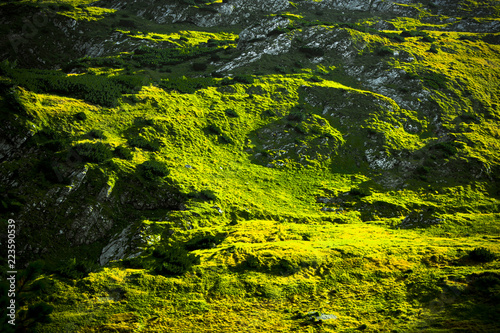 green mountain slope panorama