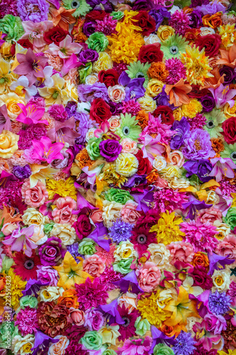 Fototapeta Naklejka Na Ścianę i Meble -  lots of colorful flowers