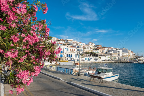 Fototapeta Naklejka Na Ścianę i Meble -  Picturesque Batsi village on  Andros island, Cyclades, Greece