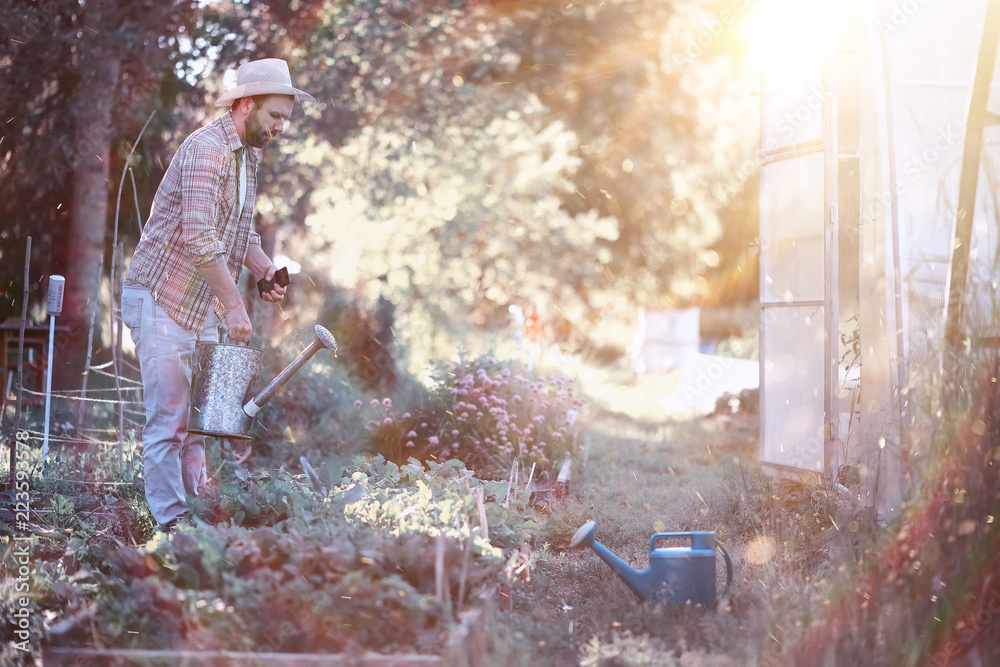 Man farmer watering a vegetable garden Man farmer watering a vegetable garden