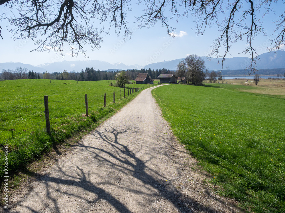 Weg durch güne Wiesen am Staffelsee mit Baumästen, Bayern