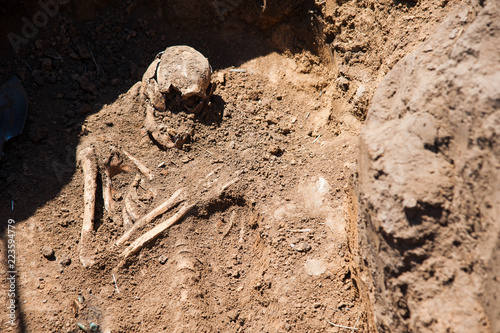 Wallpaper Mural Skeleton soldier of the Second World War Torontodigital.ca