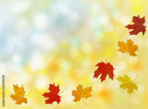 Beautiful autumn with flying maple leaves with bokeh
