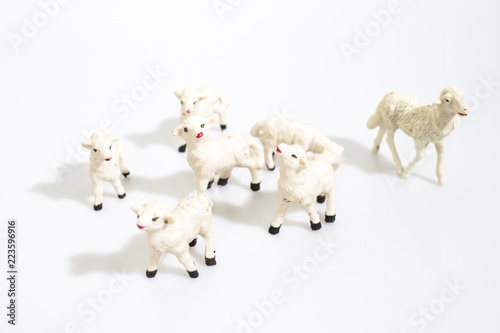 Christmas objects  plastic animals sheeps for nativity diorama isolated in a white background