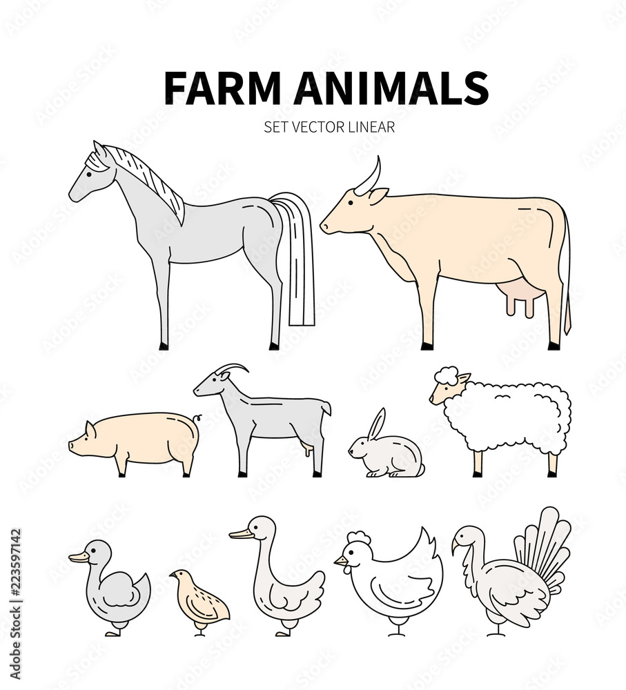 Collection of farm animals including grouse, rabbit , pig, cow, Turkey. Farming icons. Livestock or animal symbols