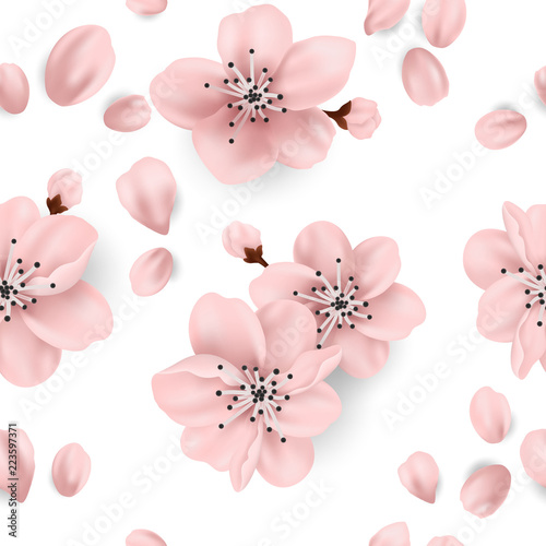 pattern of pink spring blossom flowers over white background © Anzhela Te