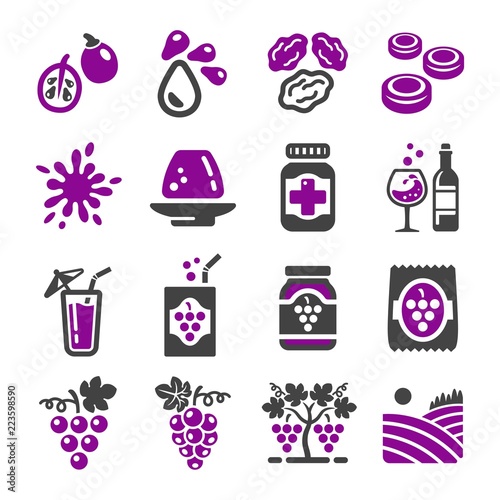 grape icon set