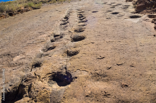 Dinosaur footprint in Toro Toro, Bolivia photo