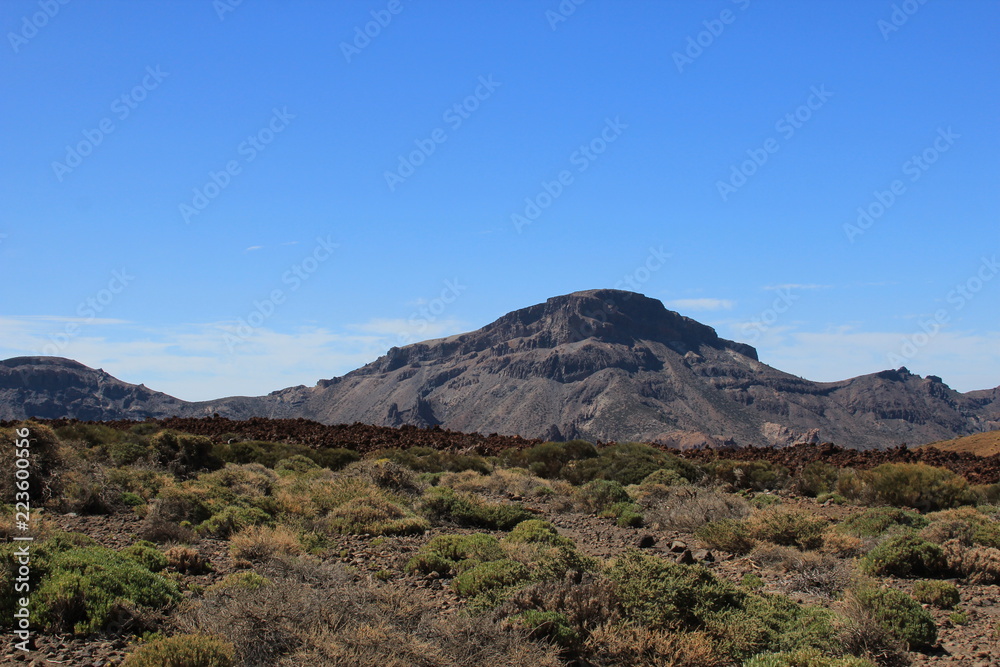 View of the mountains and the steppe