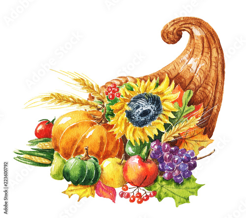 Hand drawn watercolor cornucopia with fall season harvest, pumpkin, sunflower, apple and grape. Food illustration isolated on white background. photo