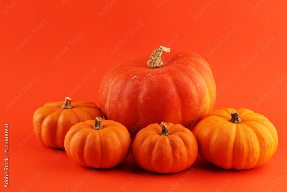 Diverse assortment of pumpkins on a orange background. Autumn harvest Diverse assortment of pumpkins on a orange background. Autumn harvest