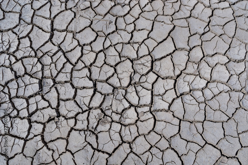Dry and cracked earth. Abstract natural gray background