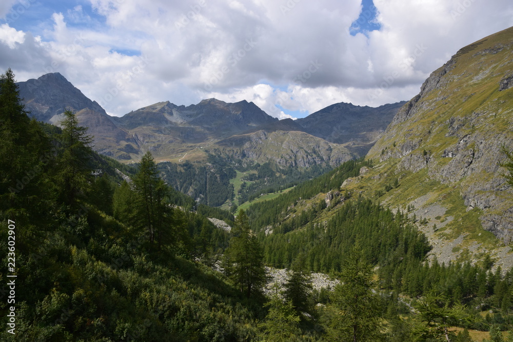 Valle d'Aosta - panorama estivo valle di Gressoney