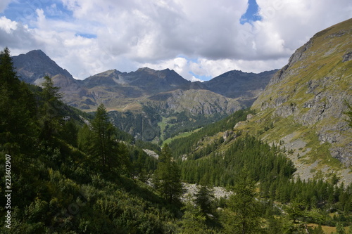 Valle d'Aosta - panorama estivo valle di Gressoney