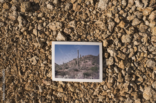 Overhead view of photograph on field at Catalina State Park