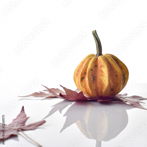 Decorative Colorful Mini Pumpkin