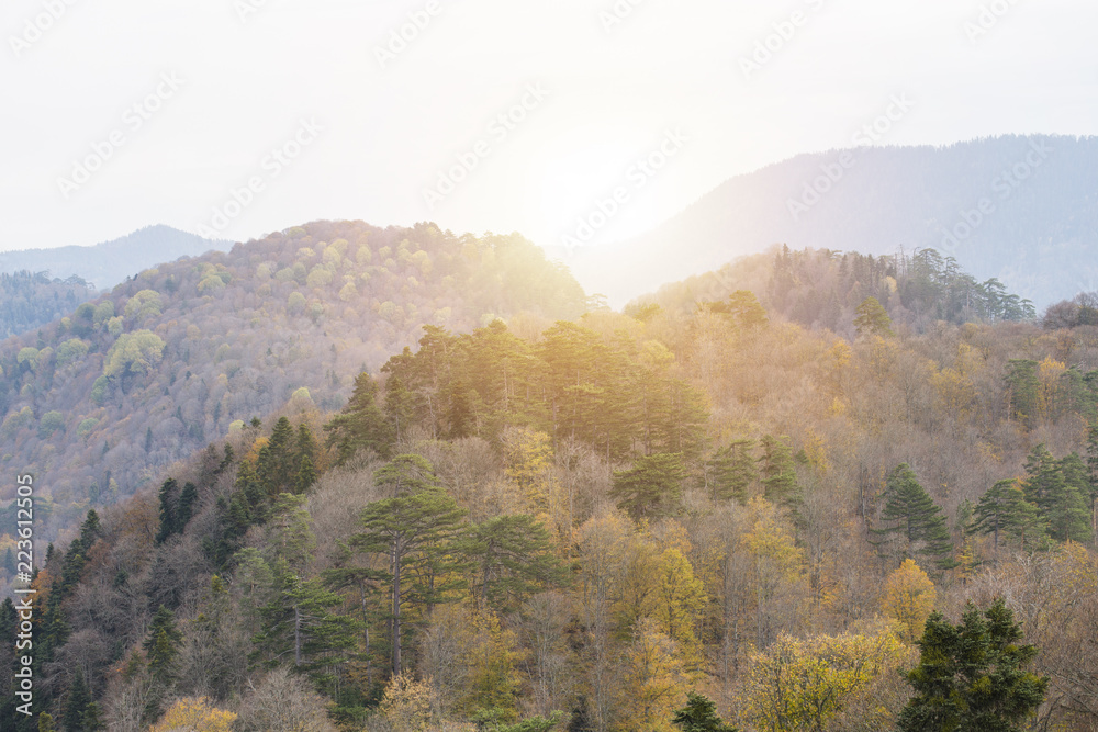 Mountain valley during sunrise. Natural summer landscape