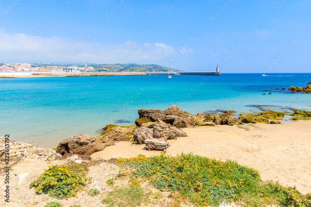 View of Tarifa beach from sand dune with flowers, Costa de la Luz, Spain