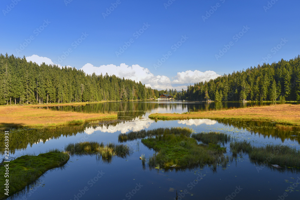 GROSSER ARBERSEE mit den schwimmenden Inseln - Bayerischer Wald-Niederbayern