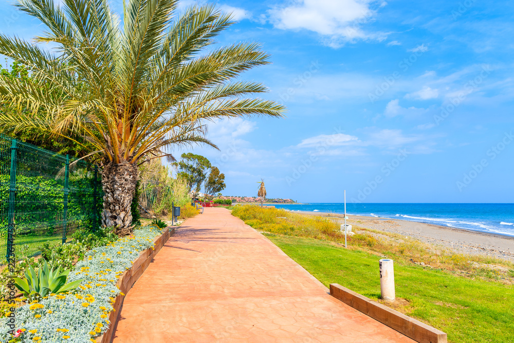 Coastal path with palm trees along beach near Estepona town on Costa del Sol, Spain