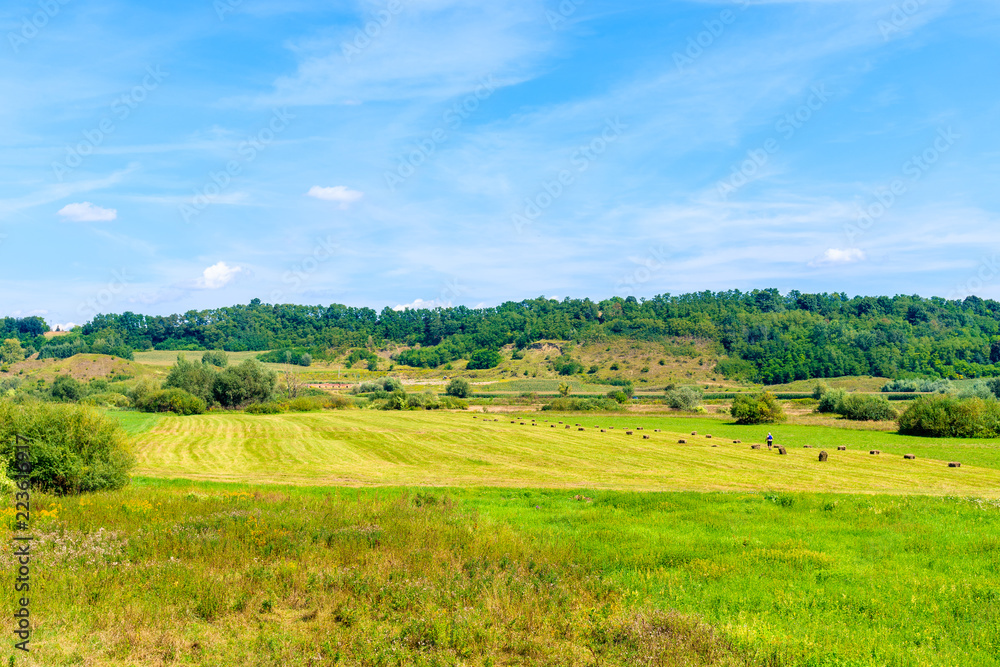 Green fields near Vistula river on sunny summer day, Poland